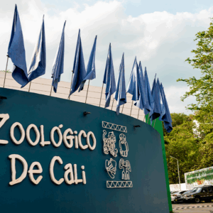 PASADIA - ZOOLOGICO + ACUAPARQUE