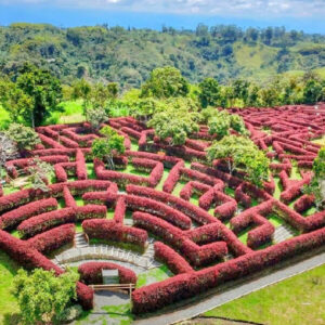 PASADIA - QINTI + LABERINTOS DE MIL CAMINOS