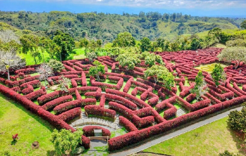 PASADIA - QINTI + LABERINTOS DE MIL CAMINOS