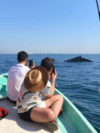 AVISTAMIENTO DE BALLENAS