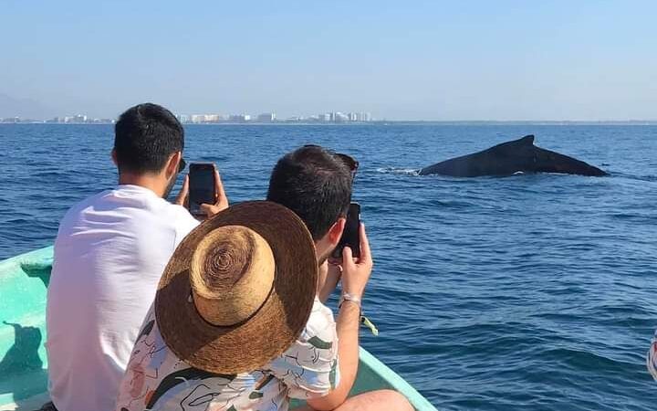 AVISTAMIENTO DE BALLENAS