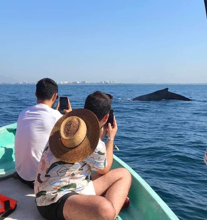 AVISTAMIENTO DE BALLENAS