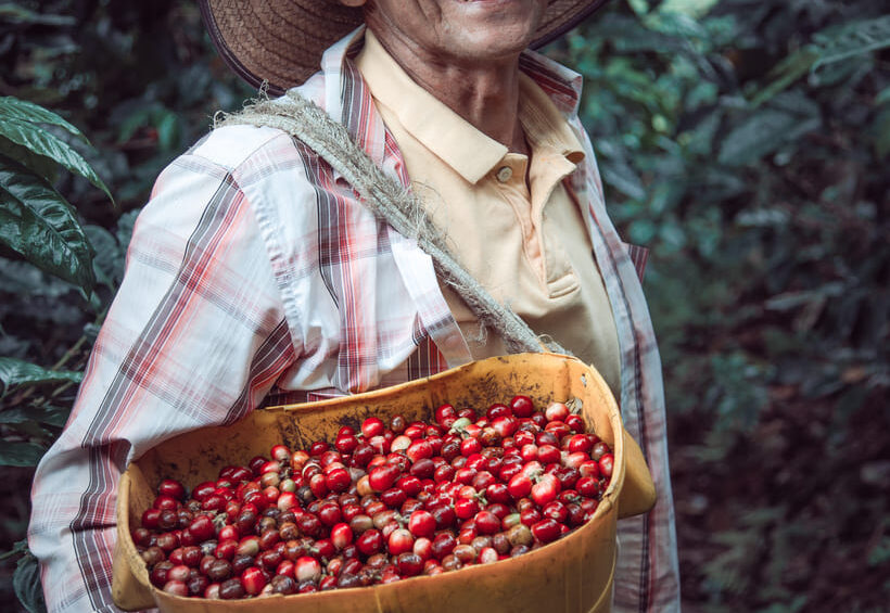 quindio colombia