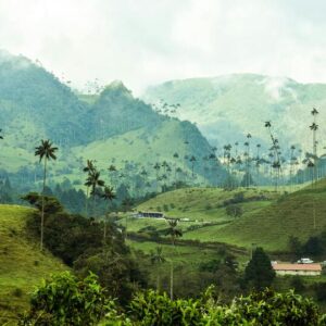 Valle del Cocora - Quindio Colombia