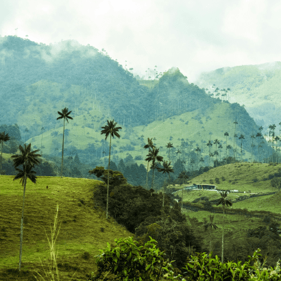 Quindio