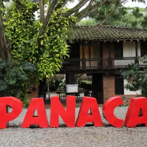 PASANOCHES - PANACA + PARQUE DEL CAFE
