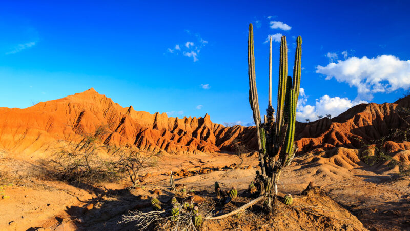DESIERTO DE LA TATACOA