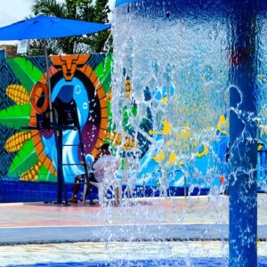 PASANOCHE - CONSOTA Y UKUMARI